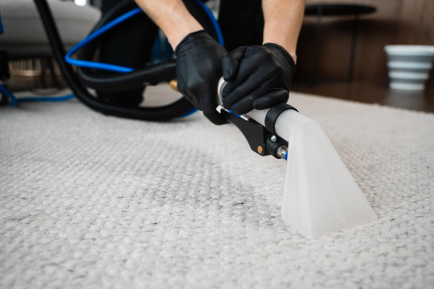 The Ultimate Guide to Professional Carpet Cleaning in Phoenix The Ultimate Guide to Professional Carpet Cleaning in Phoenix